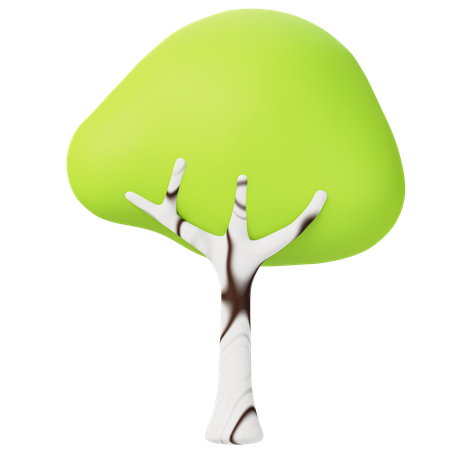 Birch Tree  3D Icon