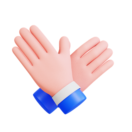 Bird Hand Gesture  3D Icon