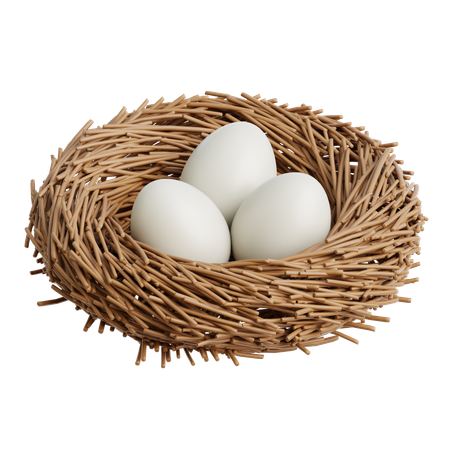 Bird Nest  3D Icon