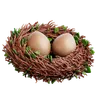 Bird Nest