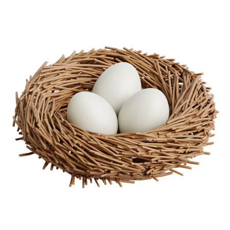 Bird Nest  3D Icon