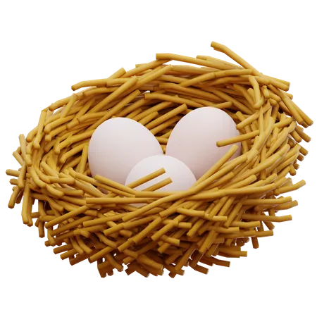 Bird Nest Eggs  3D Illustration