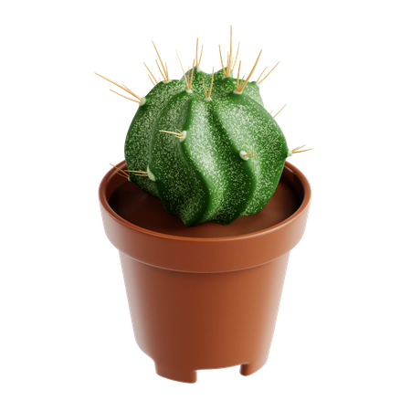 Bisho Cap Cactus  3D Icon