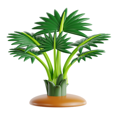 Bismarckpalme  3D Icon