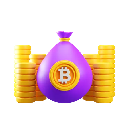 Bitcoin Bag  3D Icon