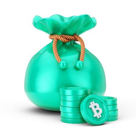 Bitcoin Bag  3D Icon