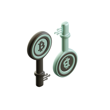 Bitcoin Encryption Key  3D Icon