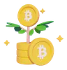 Bitcoin Investment