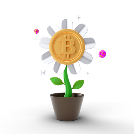 Bitcoin Investment  3D Icon