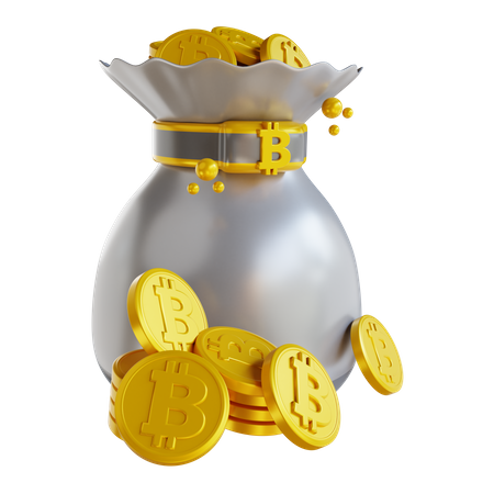 Bitcoin Pouch  3D Icon