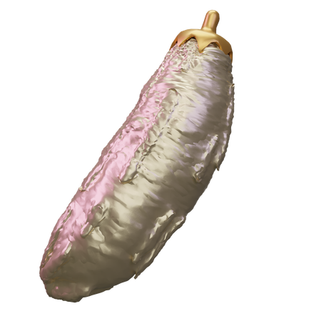 Bitter Gourd  3D Icon