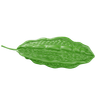 3d bitter melon logo