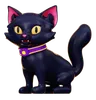 Black Cat