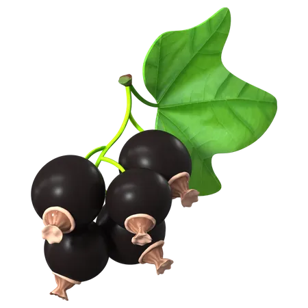 Black Currant  3D Icon