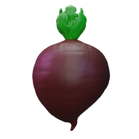 Black Radish  3D Icon