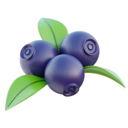 Blackberry Fruit 3 D Icon 3D Icon