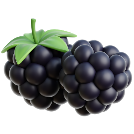 Blackberry  3D Icon