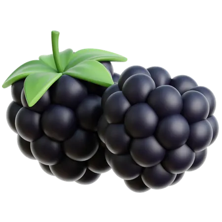 Blackberry  3D Icon