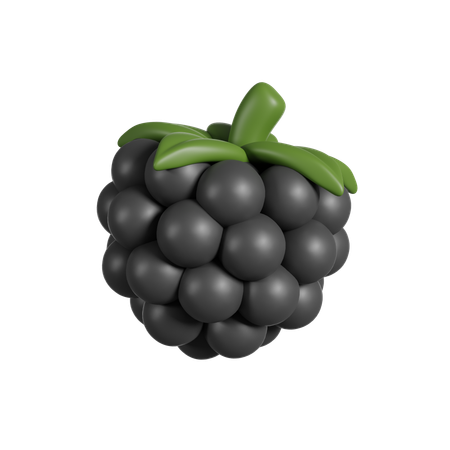 Blackberry  3D Icon