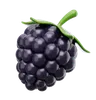 Blackberry