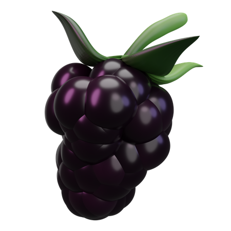 Blackberry  3D Icon