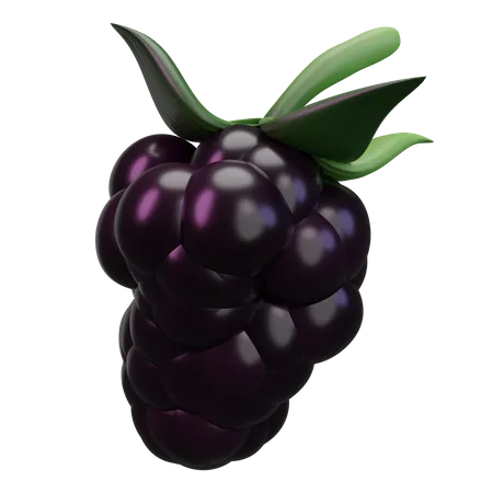 Blackberry  3D Icon