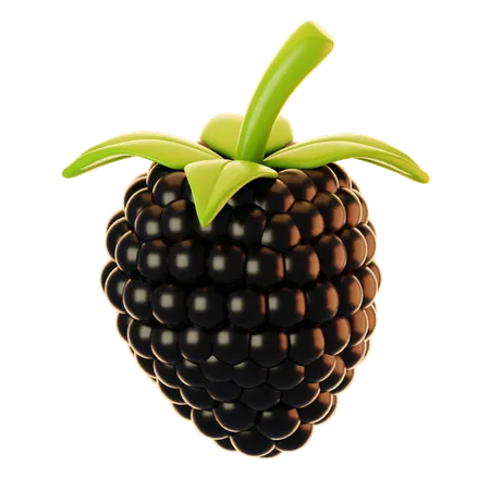 Blackberry  3D Icon