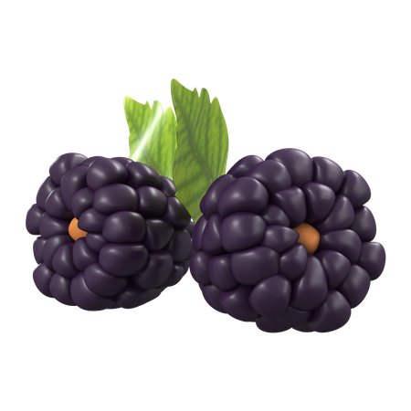 Blackberry  3D Icon