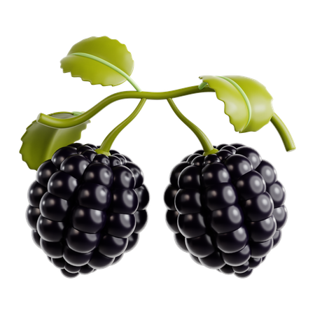 Blackberry  3D Icon