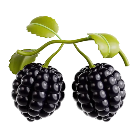 Blackberry  3D Icon