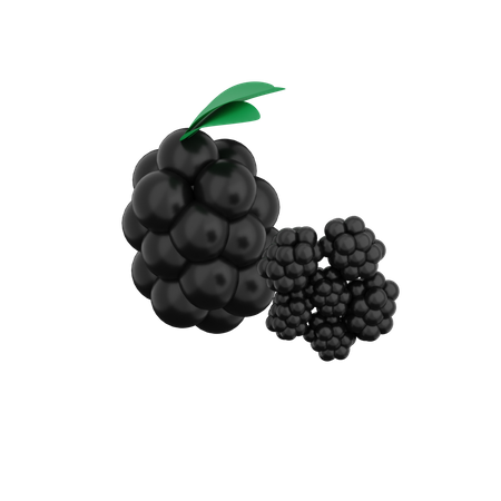 Blackberry  3D Illustration