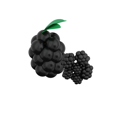 Blackberry  3D Illustration