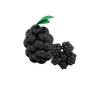 3d blackberry illustration