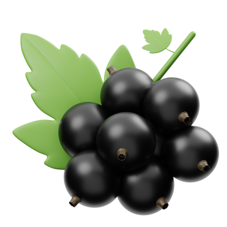 Blackcurrant  3D Icon