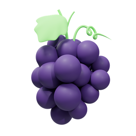 Blackcurrant  3D Illustration