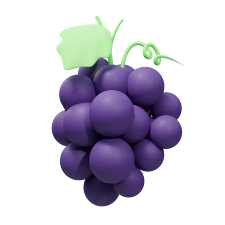 Blackcurrant  3D Illustration