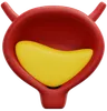 Bladder