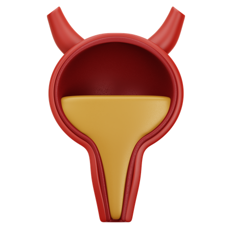 Bladder  3D Icon