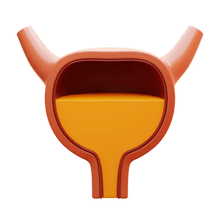 Bladder  3D Icon