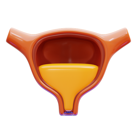 Bladder  3D Icon