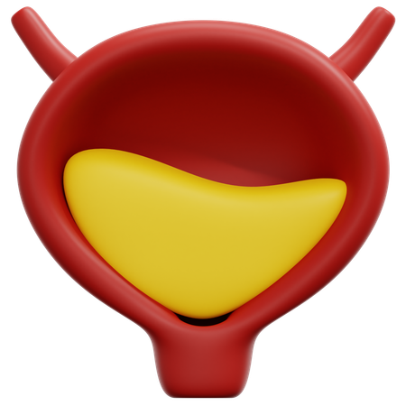 Bladder  3D Icon