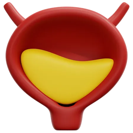 Bladder  3D Icon