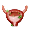 Bladder Diseases