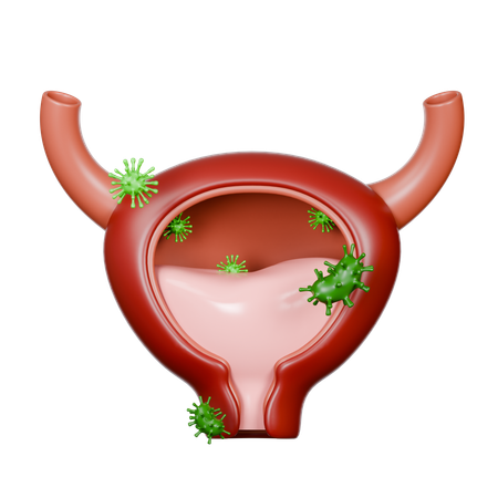Bladder Diseases  3D Icon