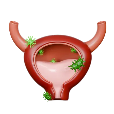 Bladder Diseases  3D Icon