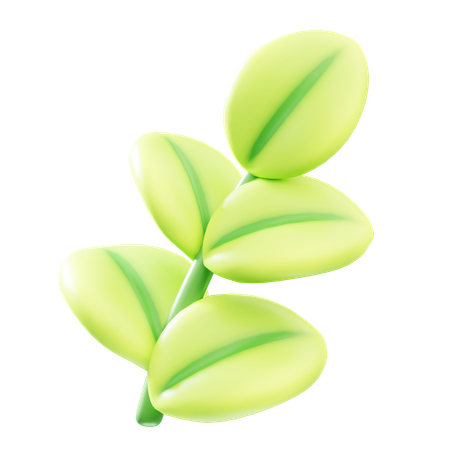 Blatt  3D Icon