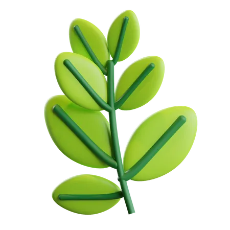 Blätter  3D Illustration