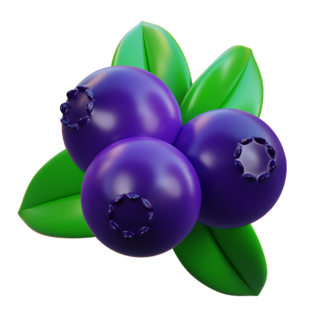 Blaubeere  3D Icon