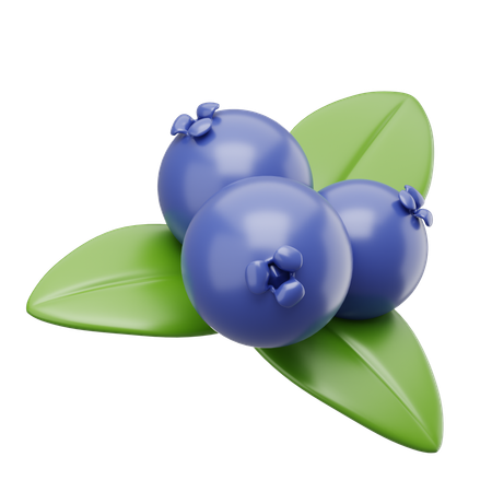 Blaubeere  3D Icon