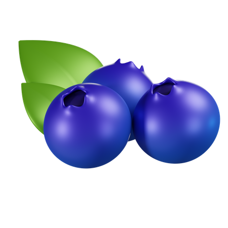 Blaubeere  3D Icon